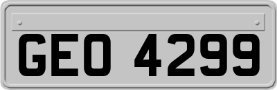 GEO4299