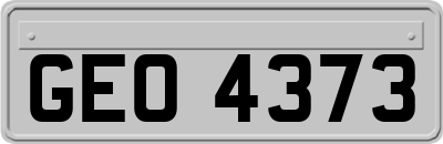 GEO4373