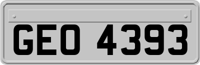 GEO4393