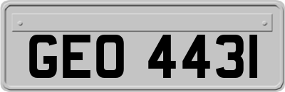 GEO4431