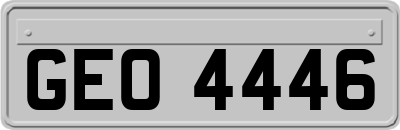 GEO4446
