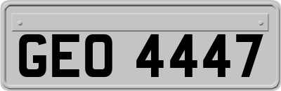 GEO4447