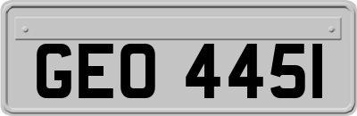 GEO4451