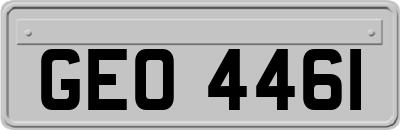 GEO4461