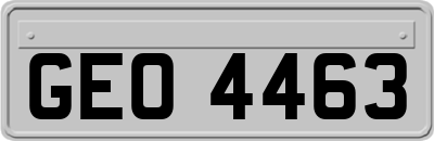 GEO4463