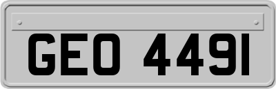 GEO4491