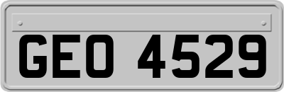 GEO4529