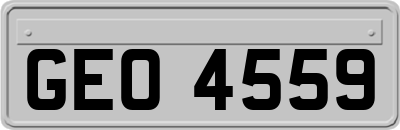 GEO4559