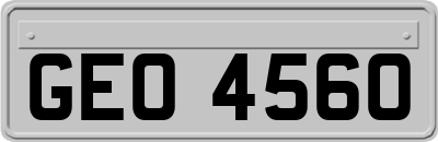 GEO4560
