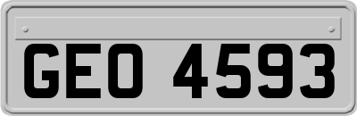 GEO4593