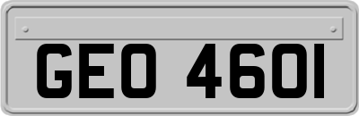 GEO4601