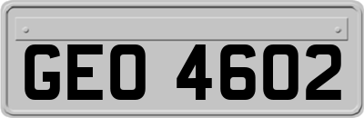 GEO4602