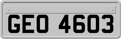 GEO4603