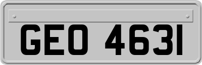 GEO4631
