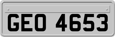 GEO4653