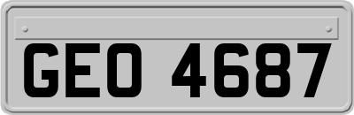 GEO4687