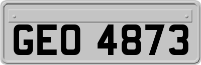 GEO4873