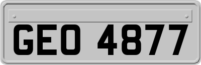 GEO4877