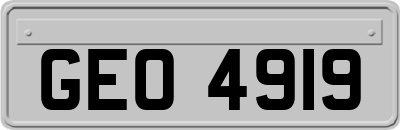 GEO4919
