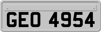 GEO4954