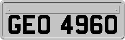 GEO4960