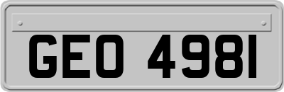 GEO4981