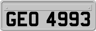 GEO4993