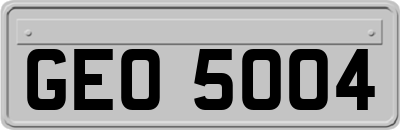 GEO5004