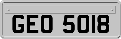 GEO5018