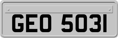 GEO5031