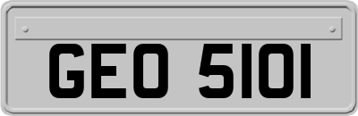 GEO5101