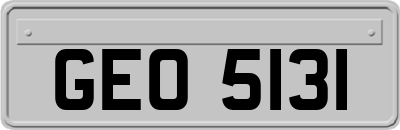 GEO5131