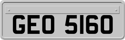 GEO5160