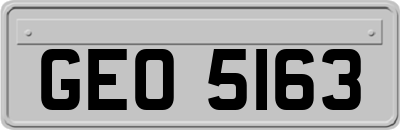 GEO5163
