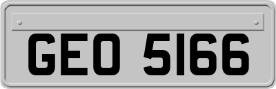 GEO5166