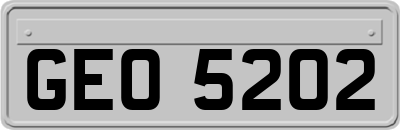 GEO5202
