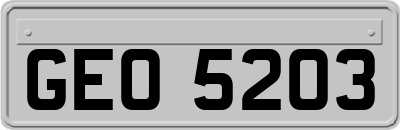 GEO5203