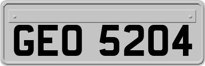 GEO5204