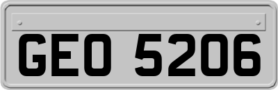 GEO5206