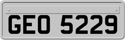 GEO5229