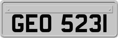GEO5231