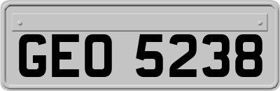 GEO5238