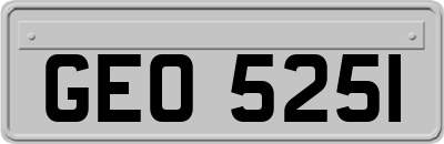 GEO5251