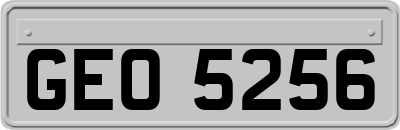 GEO5256