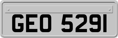 GEO5291