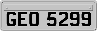 GEO5299