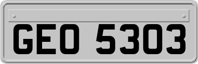 GEO5303