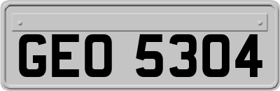GEO5304