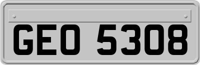 GEO5308