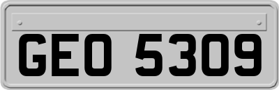 GEO5309